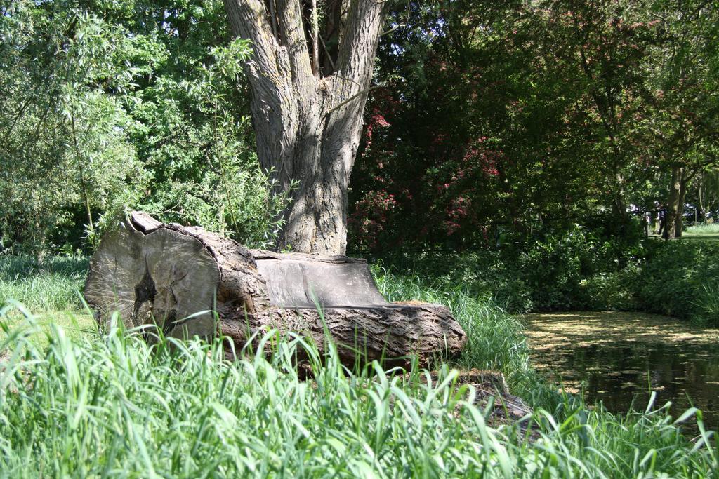 'T Koetshuys Villa Heenvliet Exteriör bild